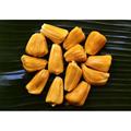 Artocarpus heterophyllus
